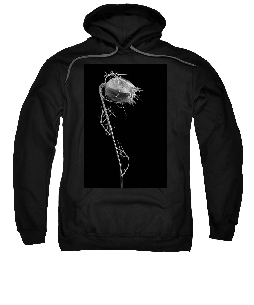 Love In A Mist Sweatshirt featuring the photograph Like Love by Robert Woodward