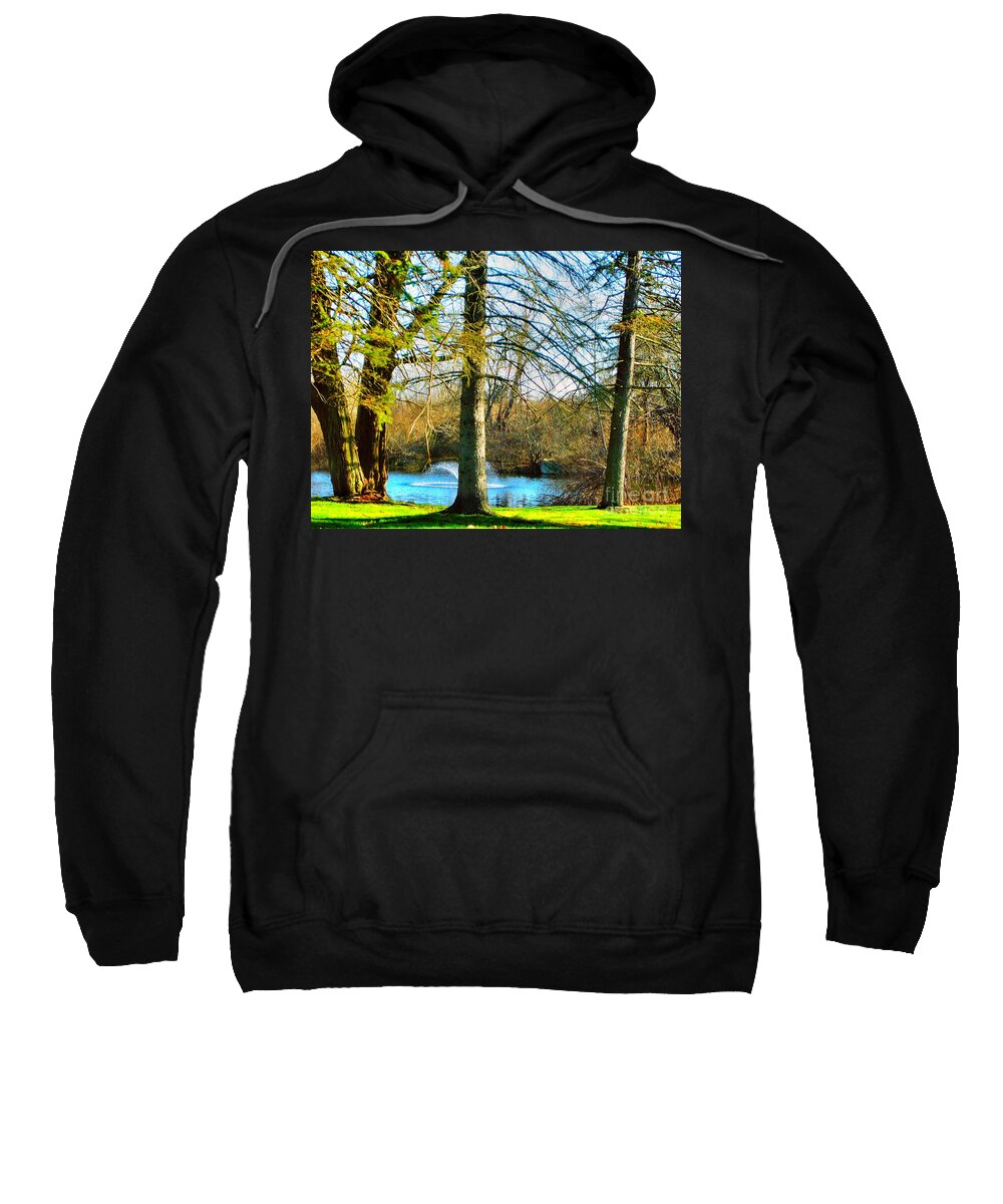 Pond Sweatshirt featuring the photograph Little Pond by Judy Palkimas