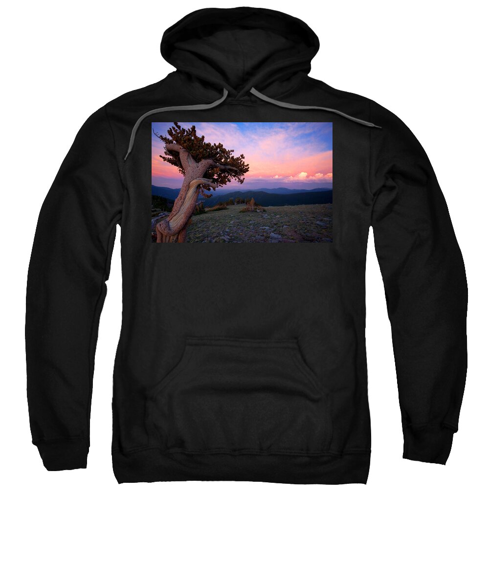 Sunsets Sweatshirt featuring the photograph Lonesome Pine by Jim Garrison