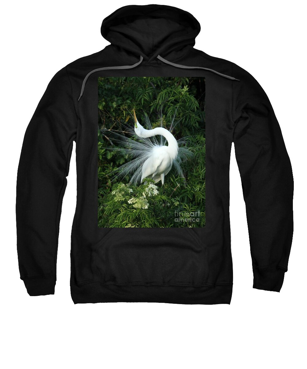 Great White Egret Sweatshirt featuring the photograph Look at Me by Sabrina L Ryan