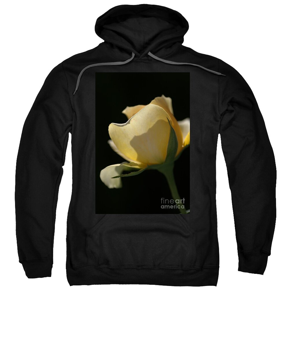 Joy Watson Sweatshirt featuring the photograph Looking Through by Joy Watson