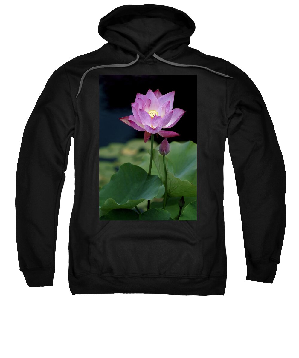 Lotus Blossom Sweatshirt featuring the photograph Lotus Blossom by Penny Lisowski