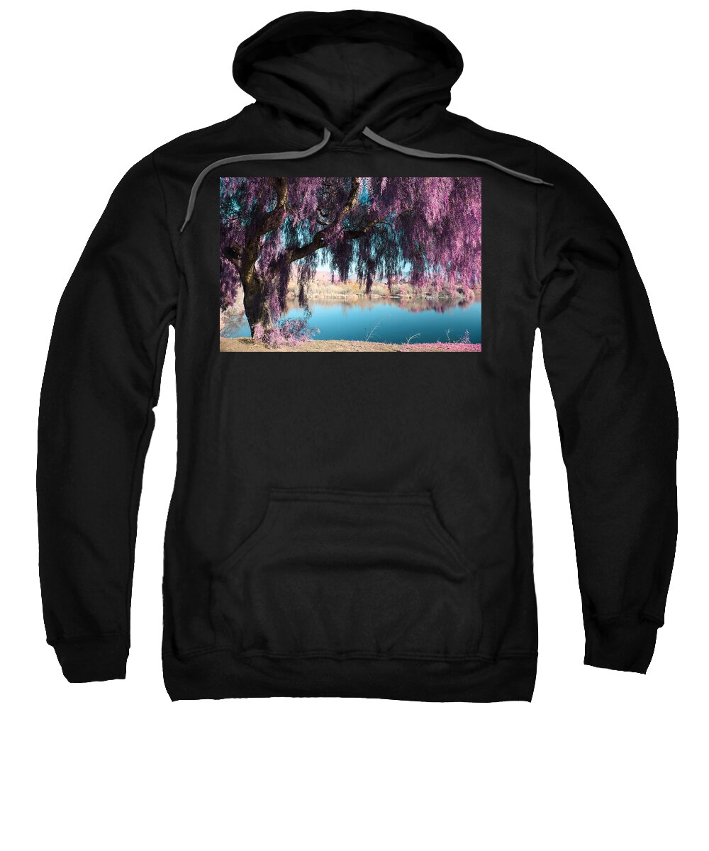Niles Community Park Sweatshirt featuring the photograph Magic Can Happen by Laurie Search