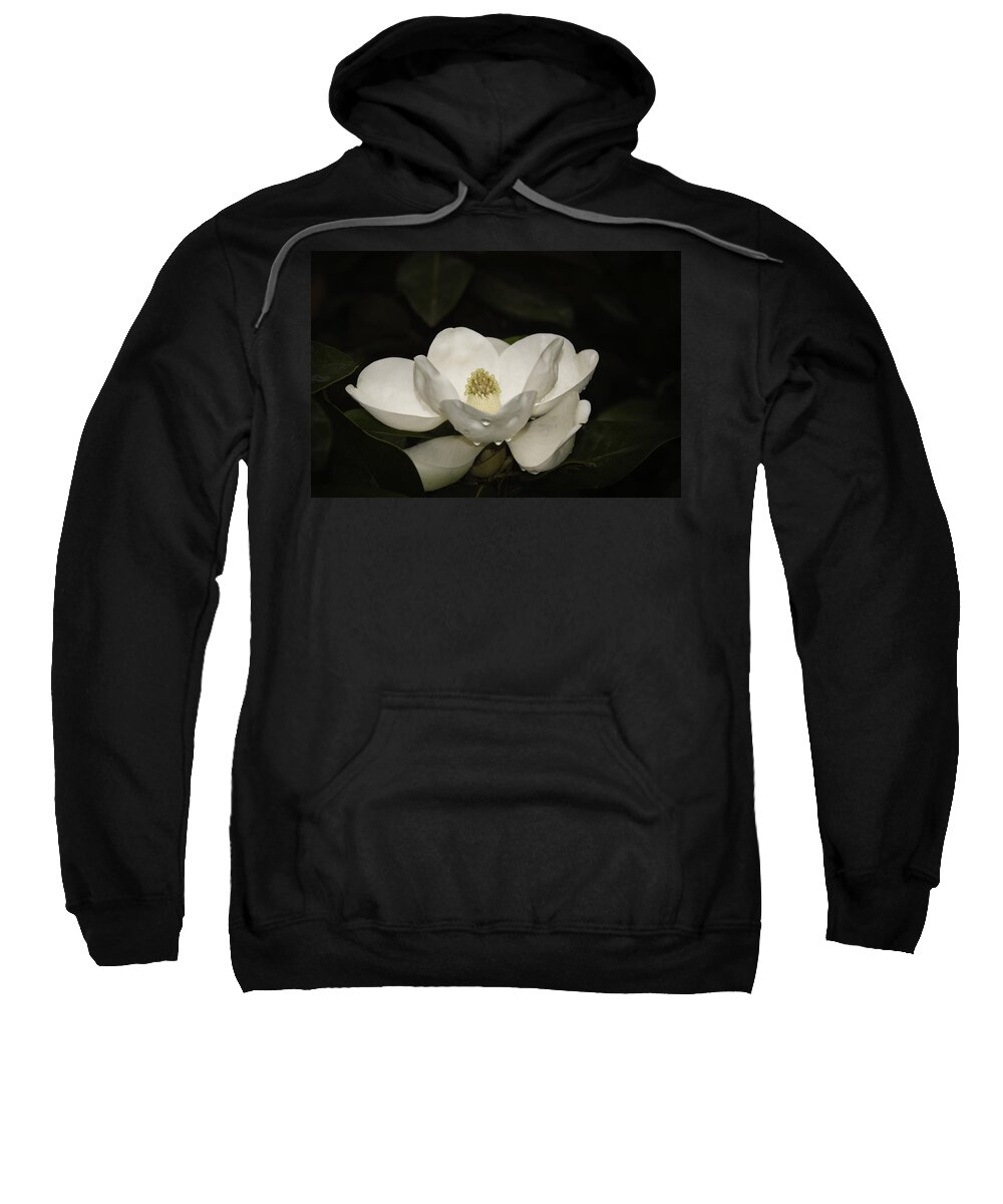 Magnolia Sweatshirt featuring the photograph Magnolia by Penny Lisowski