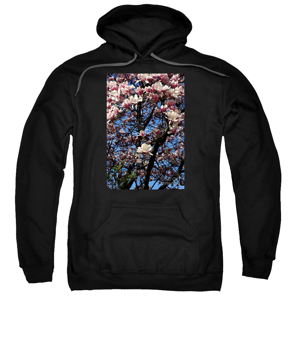 Magnolia Sweatshirt featuring the photograph Magnolias by Frank J Casella