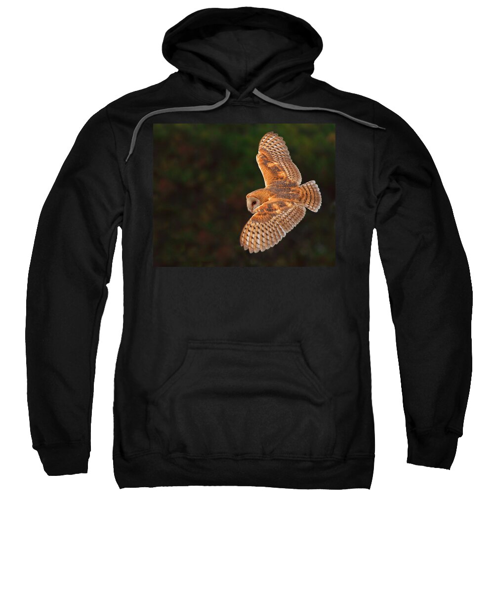 Barn Owl Sweatshirt featuring the photograph Majestic Flight by Beth Sargent