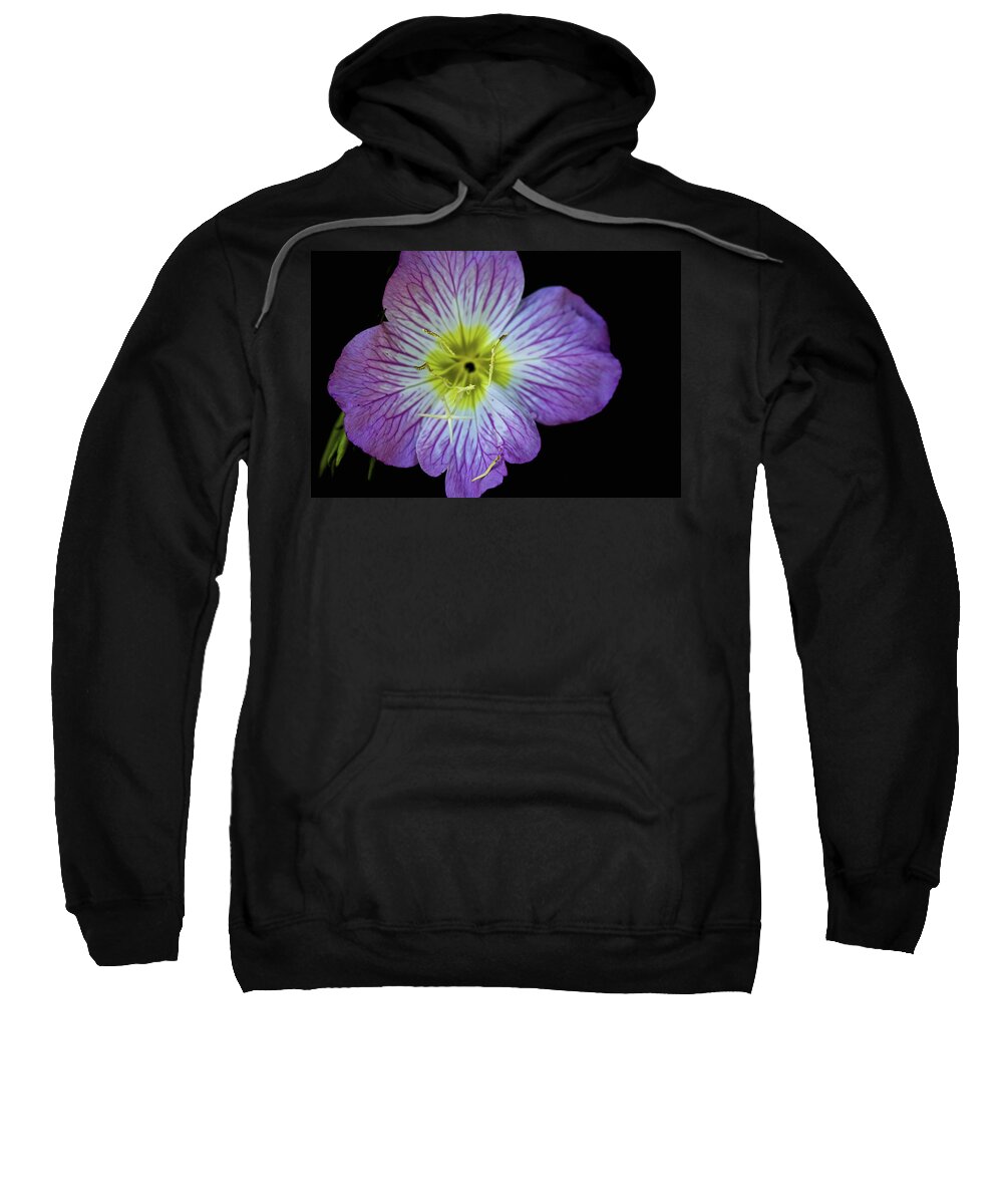 California Sweatshirt featuring the photograph Mexican Primrose On Black by SC Heffner