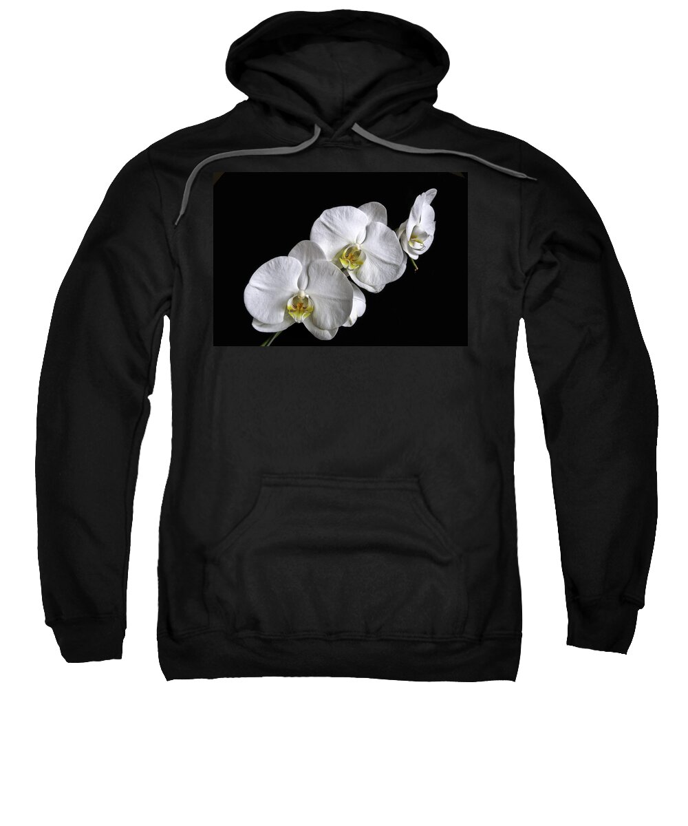 White Moth Orchid Sweatshirt featuring the photograph Moth Orchid Trio by Ron White