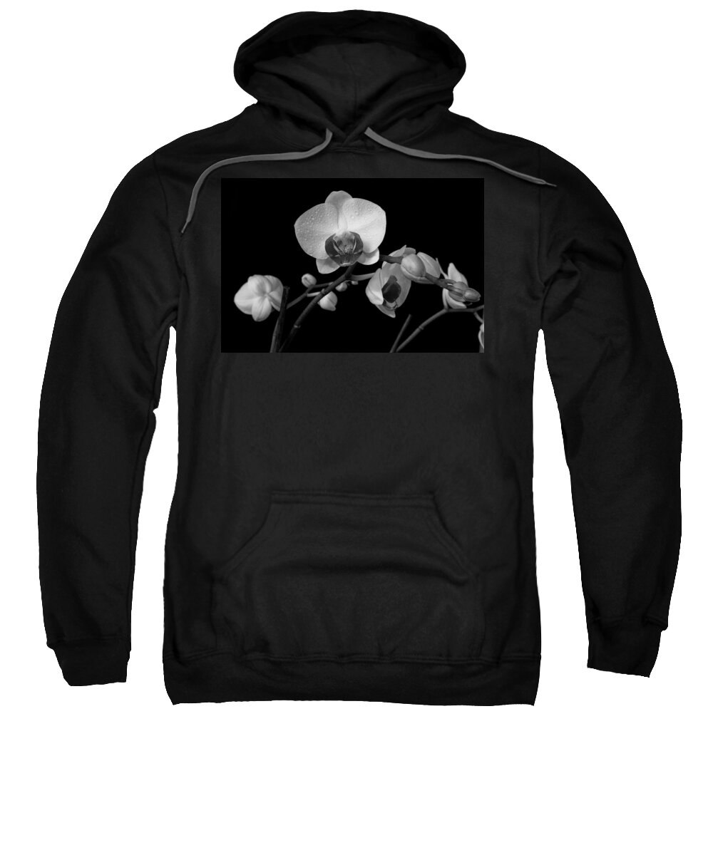 Flower Sweatshirt featuring the photograph Moth Orchids by Ron White