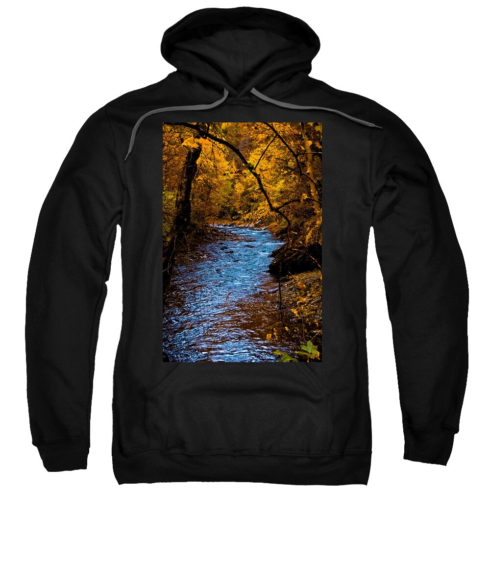 Creek Sweatshirt featuring the photograph Natures Golden Secret by DigiArt Diaries by Vicky B Fuller