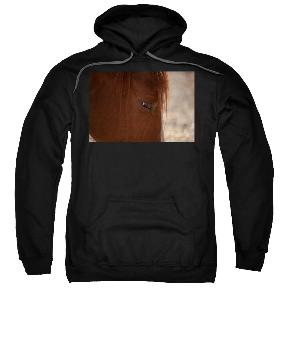 Colt Sweatshirt featuring the photograph Old Brown Eyes by Brenda Jacobs