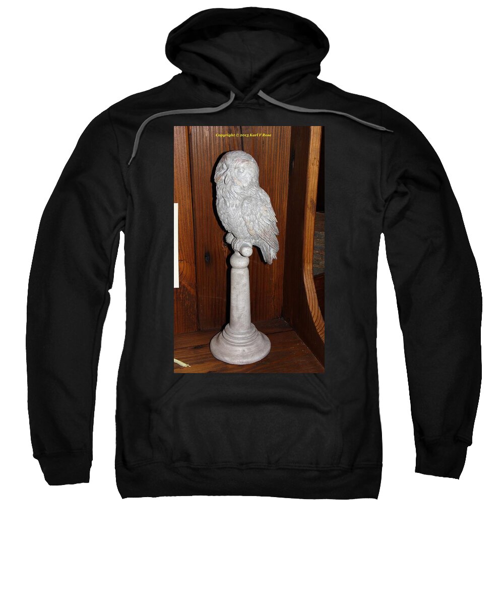 Owls Sweatshirt featuring the photograph Owl statue by Karl Rose