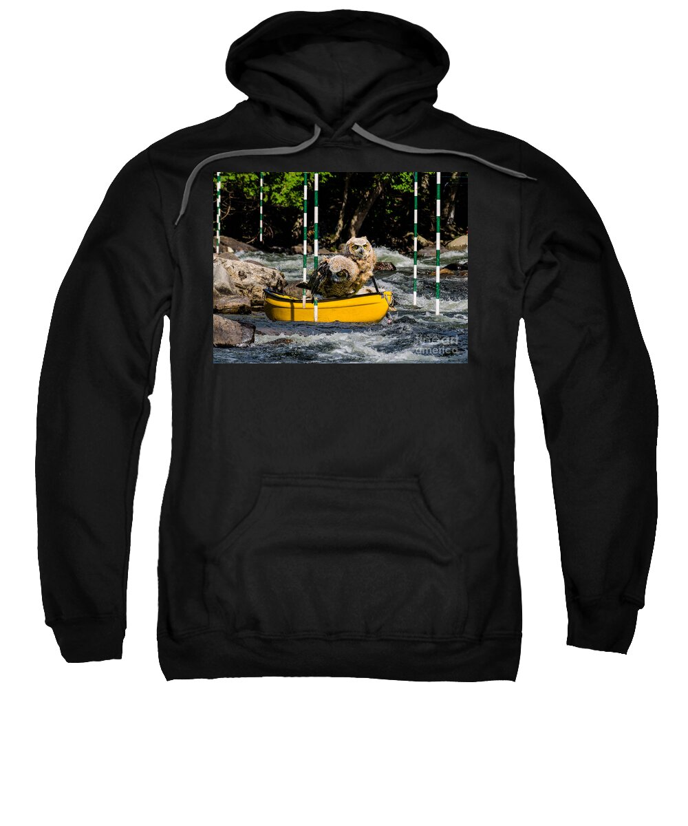 Outdoor Sweatshirt featuring the photograph Owlets In A Canoe by Les Palenik