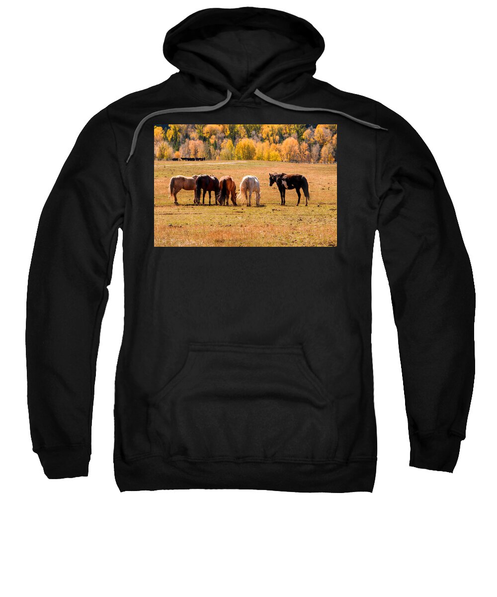 Horses Sweatshirt featuring the photograph Peaceful Pasture 0066 by Kristina Rinell