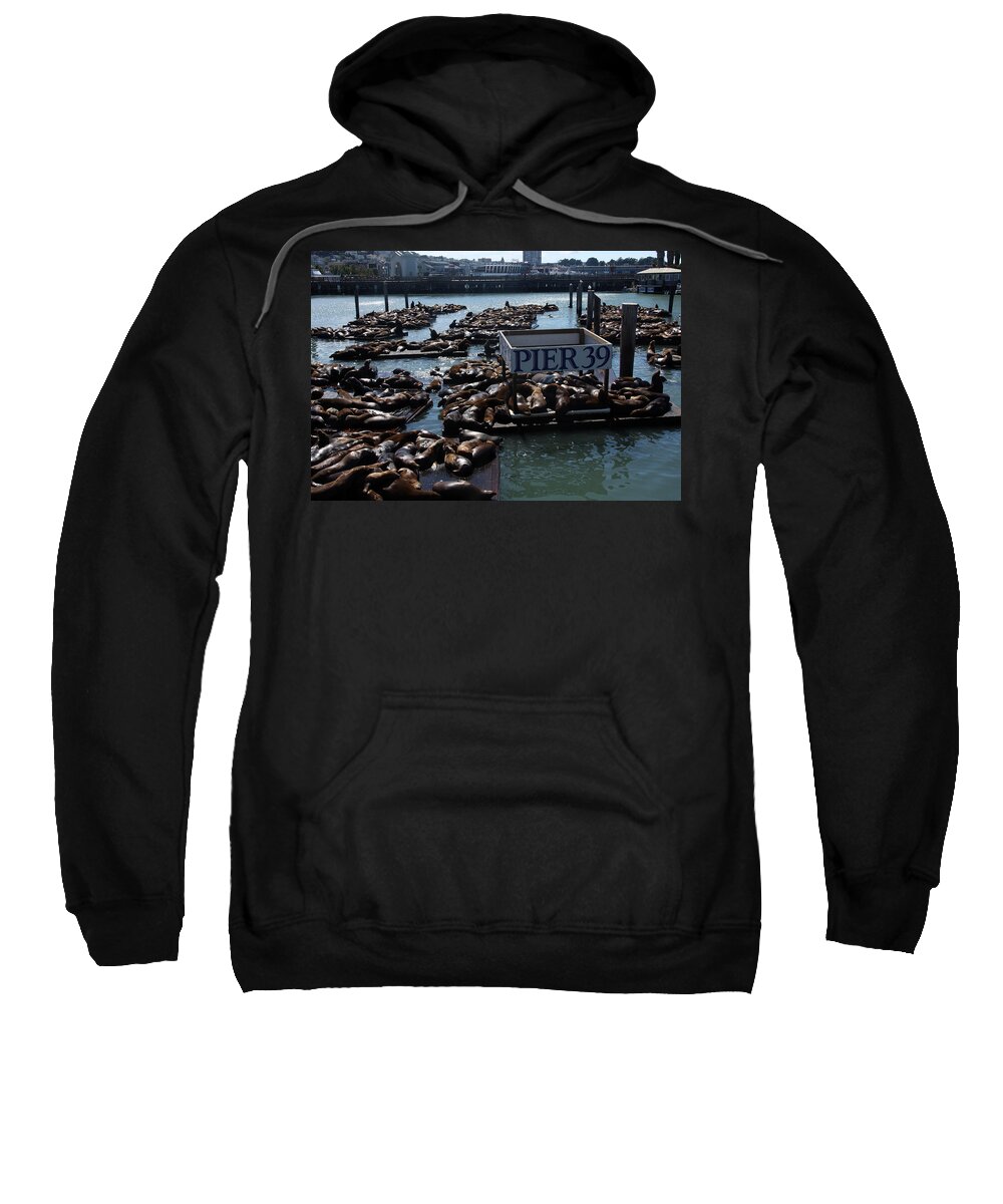 Seals Sweatshirt featuring the photograph Pier 39 San Francisco Bay by Aidan Moran