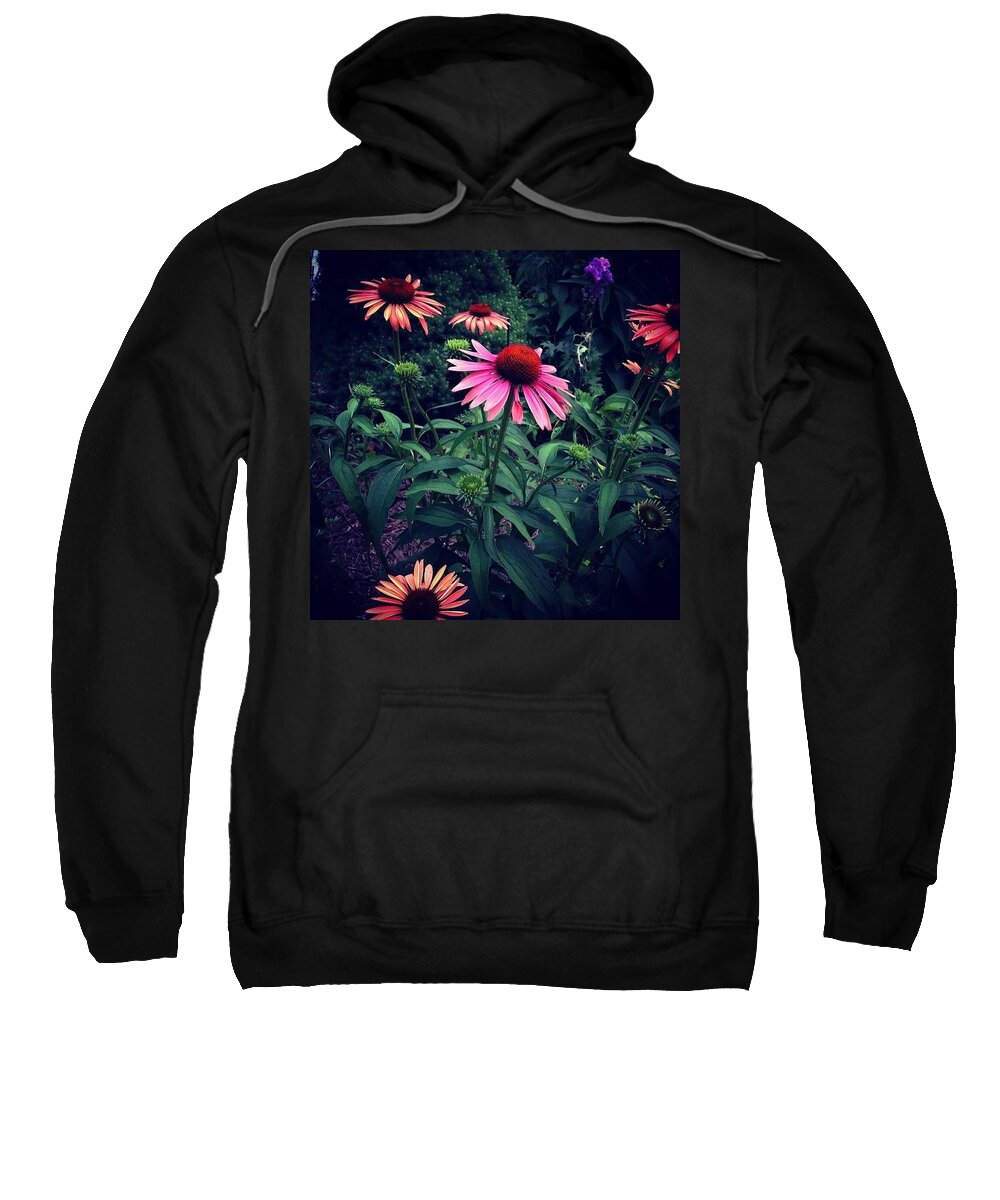 Coneflower Sweatshirt featuring the photograph Pink And Orange by Frank J Casella