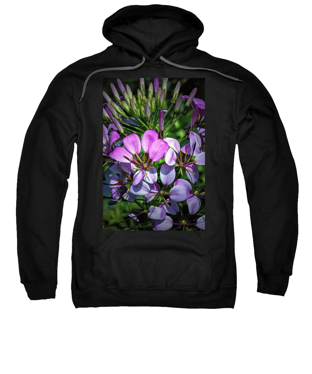 Pink Sweatshirt featuring the photograph Pink and Purple Floral Pallete by Bill and Linda Tiepelman
