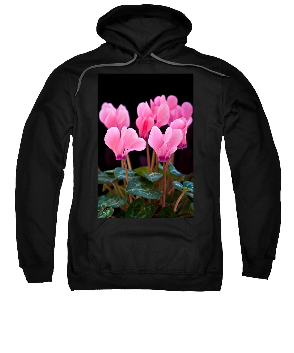 Black Sweatshirt featuring the photograph Pink Cyclamen by Mark Llewellyn