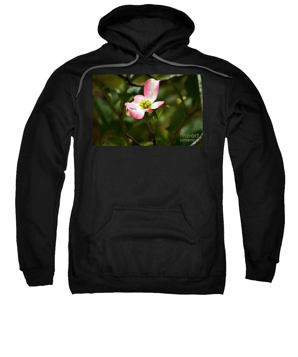 Dogwood Sweatshirt featuring the photograph Pink dogwood 2 by Andrea Anderegg