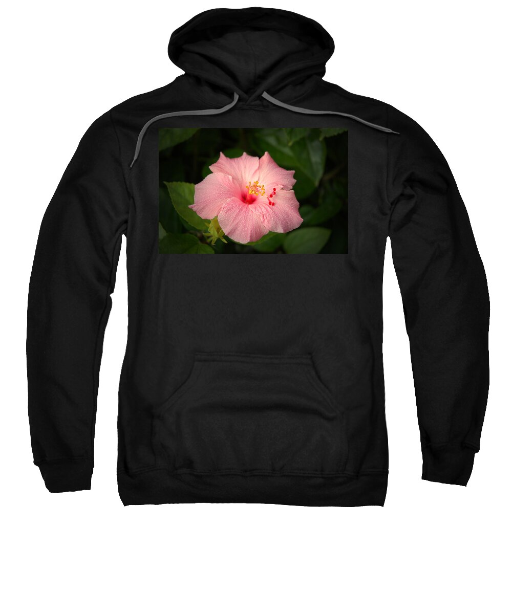 Hibiscus Sweatshirt featuring the photograph Pink Hibiscus by David Weeks