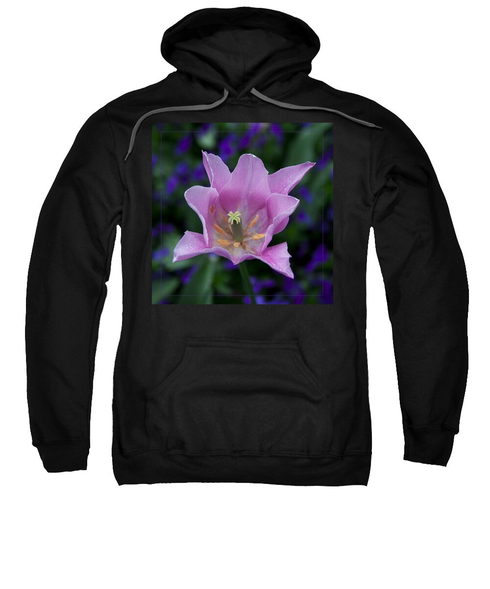 Tulip Flowers Photography Sweatshirt featuring the photograph Pink Tulip Flower With a Spot of Green Fine Art Floral Photography Print by Jerry Cowart