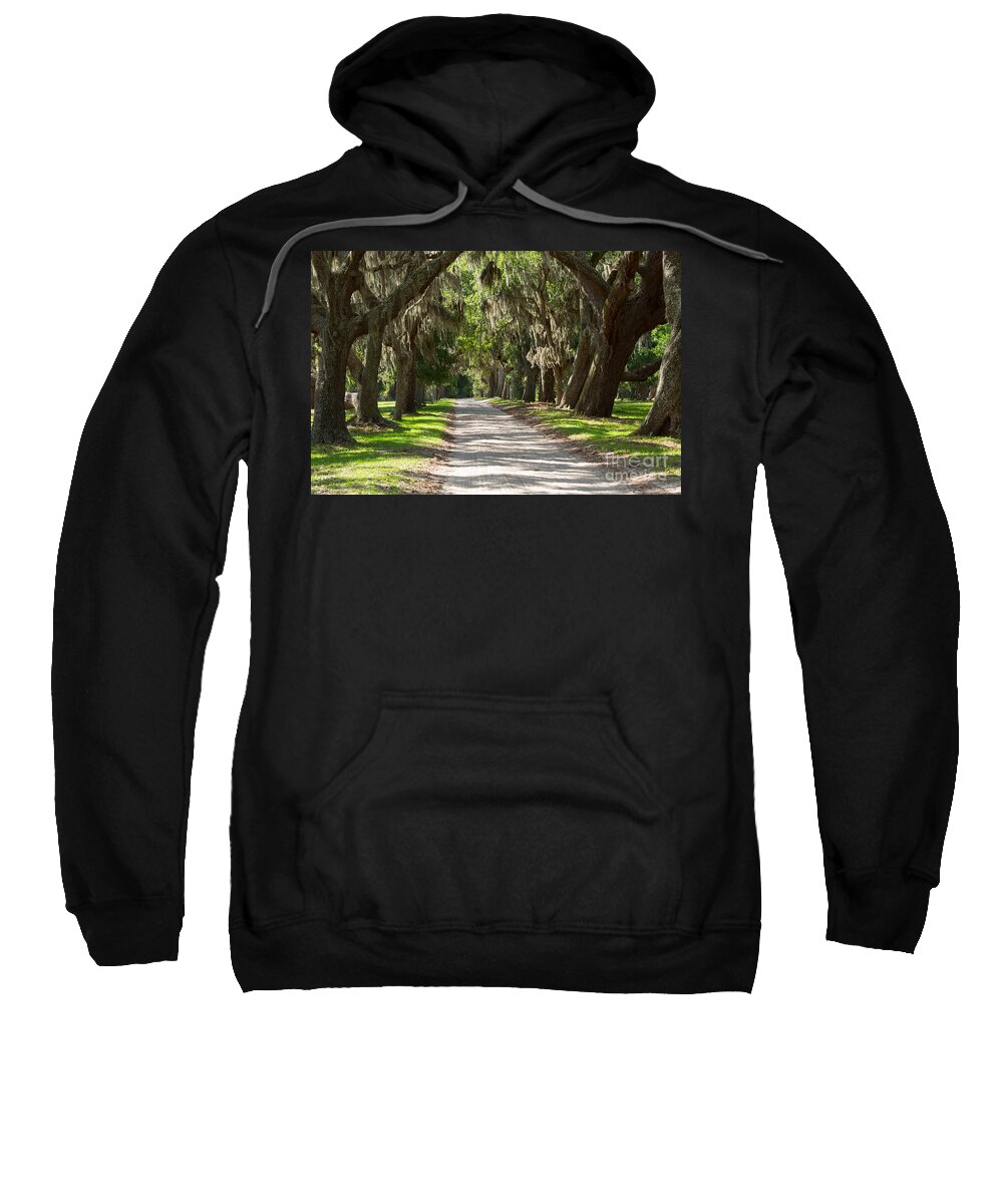 Spanish Moss Sweatshirt featuring the photograph Plantation Road by Louise Heusinkveld