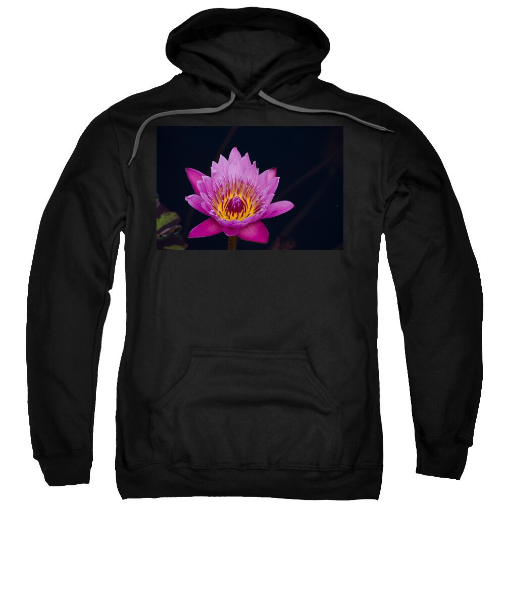 Flower Sweatshirt featuring the photograph Purple Lotus Flower by Jim Shackett