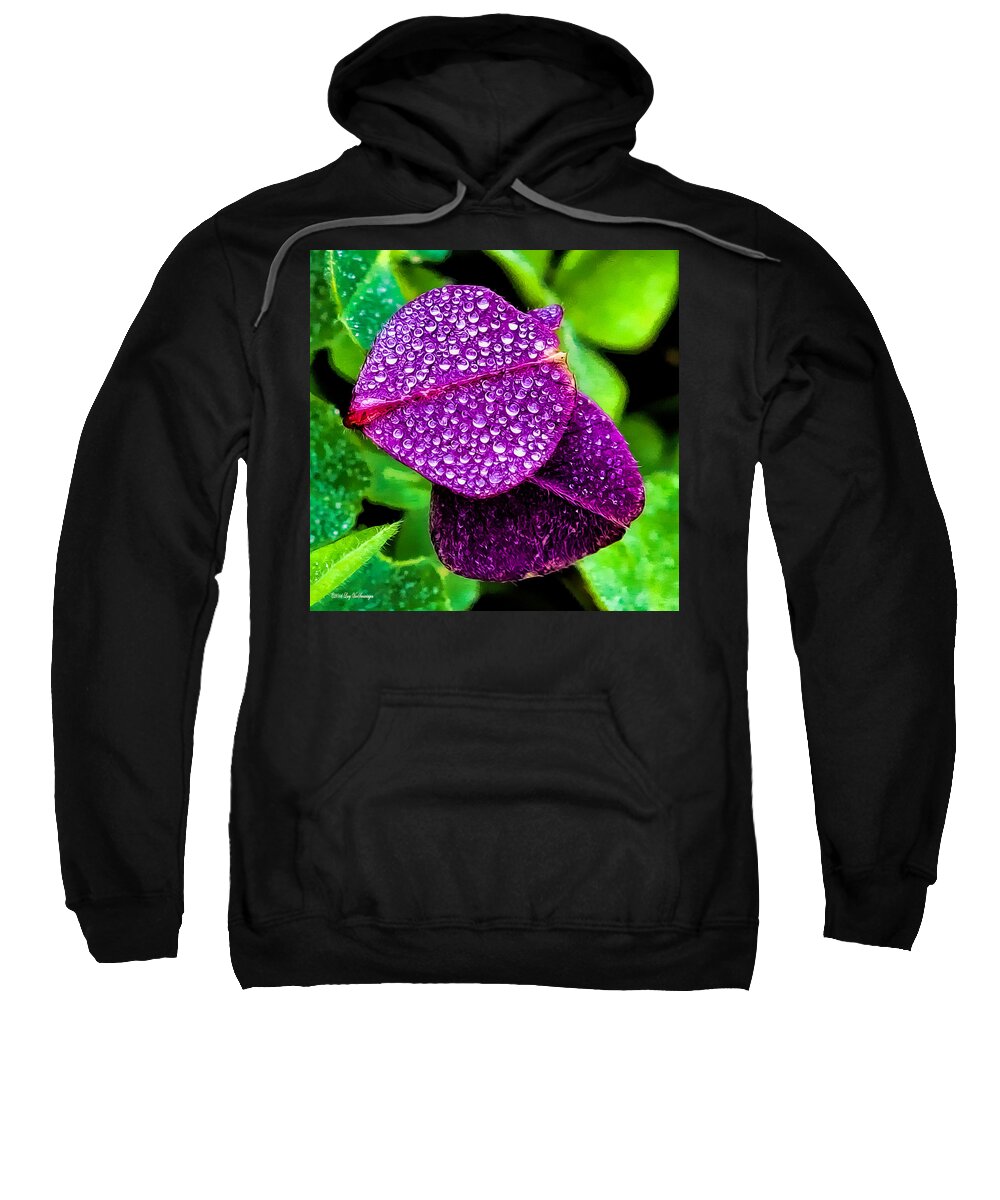Clover Canvas Print Sweatshirt featuring the photograph Purple Shimmer by Lucy VanSwearingen