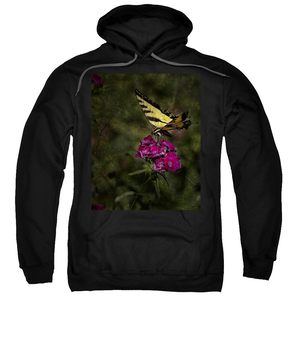 Butterfly Sweatshirt featuring the photograph Ragged Wings by Belinda Greb