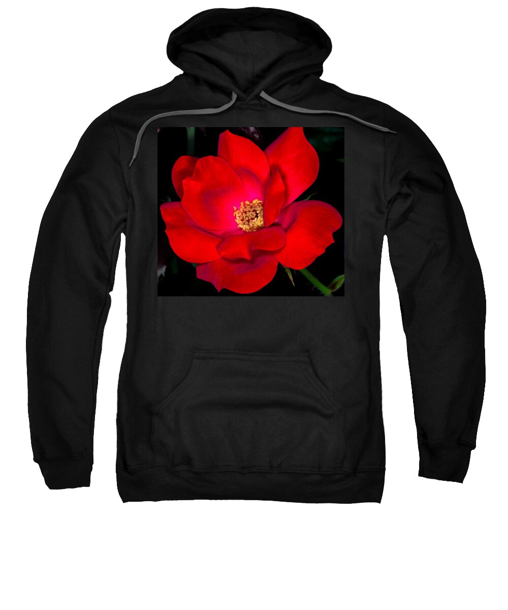 Art Prints Sweatshirt featuring the photograph Real Red by Dave Bosse