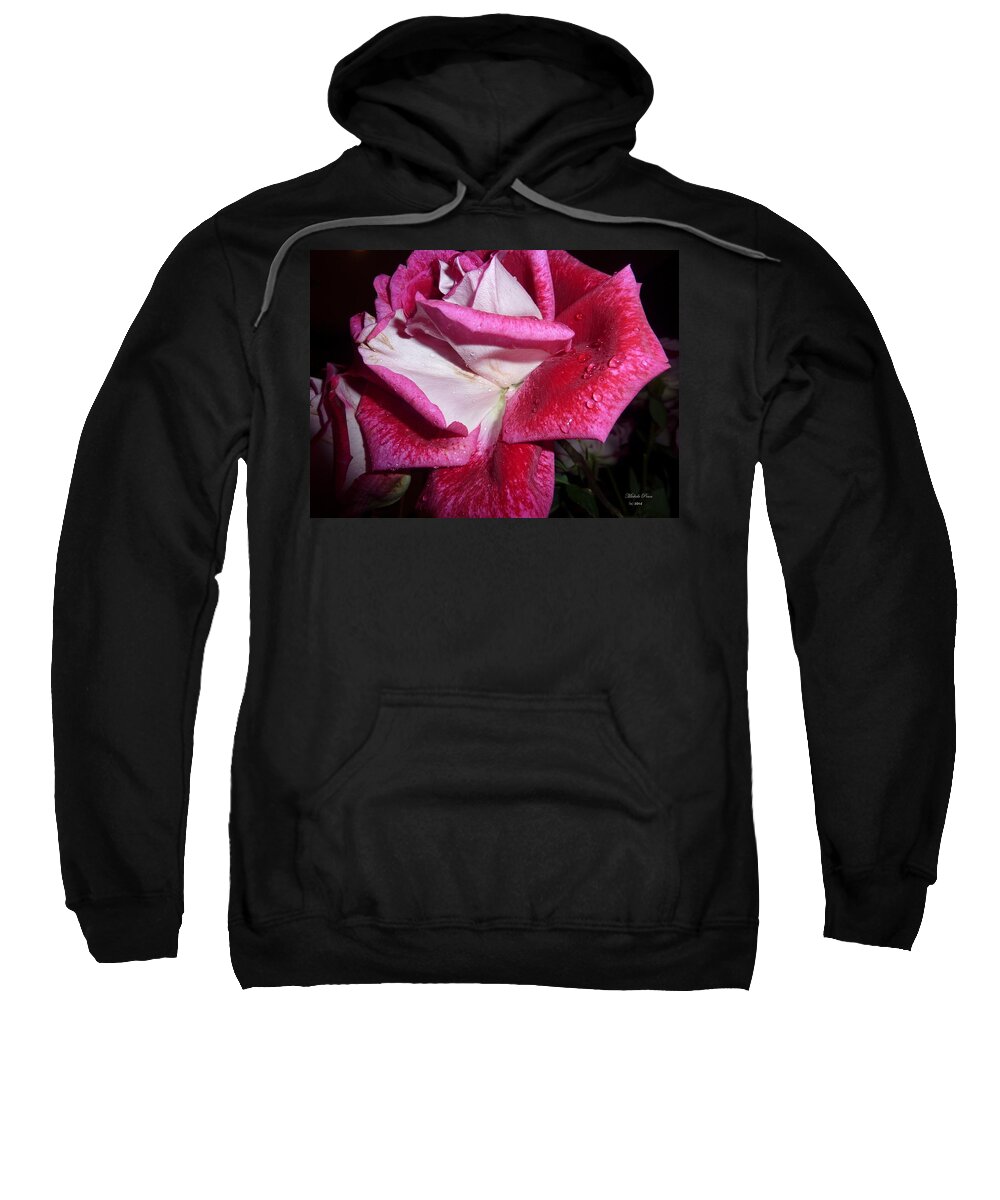 Red Rose Sweatshirt featuring the photograph Red Beauty by Michele Penn