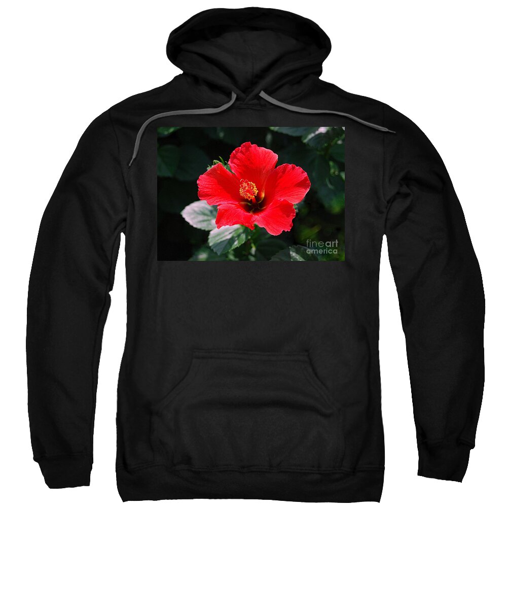 Hibiscus Sweatshirt featuring the photograph Red Hibiscus by Catherine Sherman