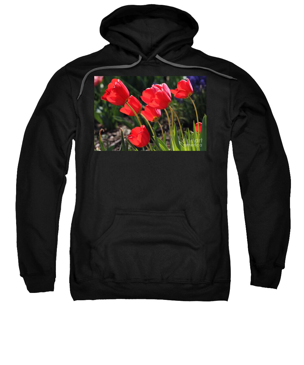 Red Tulips Sweatshirt featuring the photograph Red Tulips by Trina Ansel