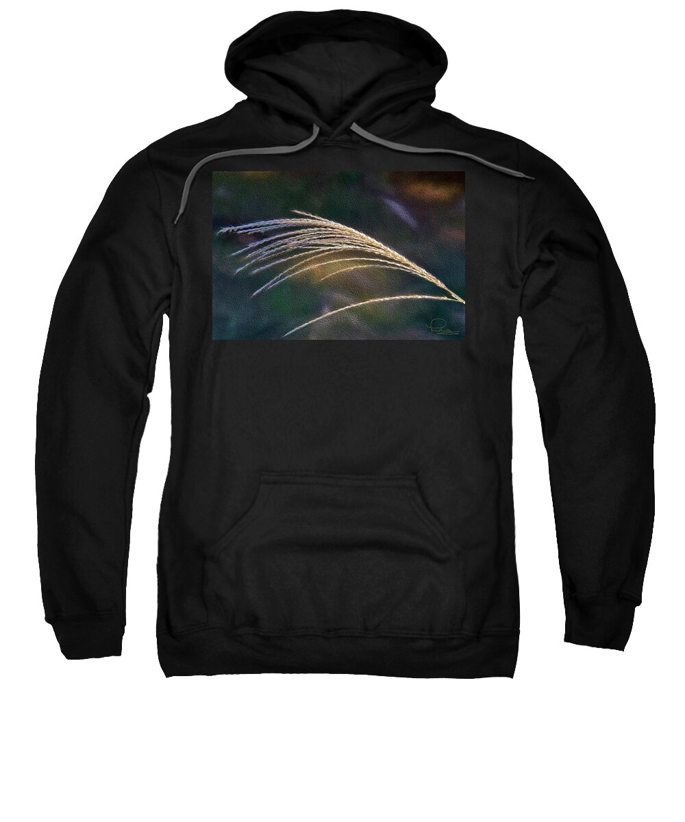 Grass Sweatshirt featuring the photograph Reed Grass by Ludwig Keck