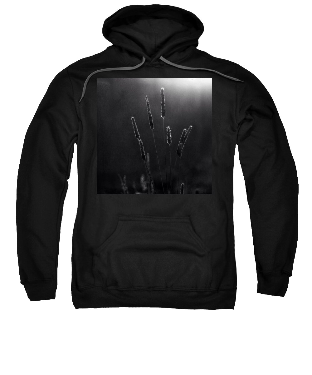 Beautiful Sweatshirt featuring the photograph Reeds by Aleck Cartwright