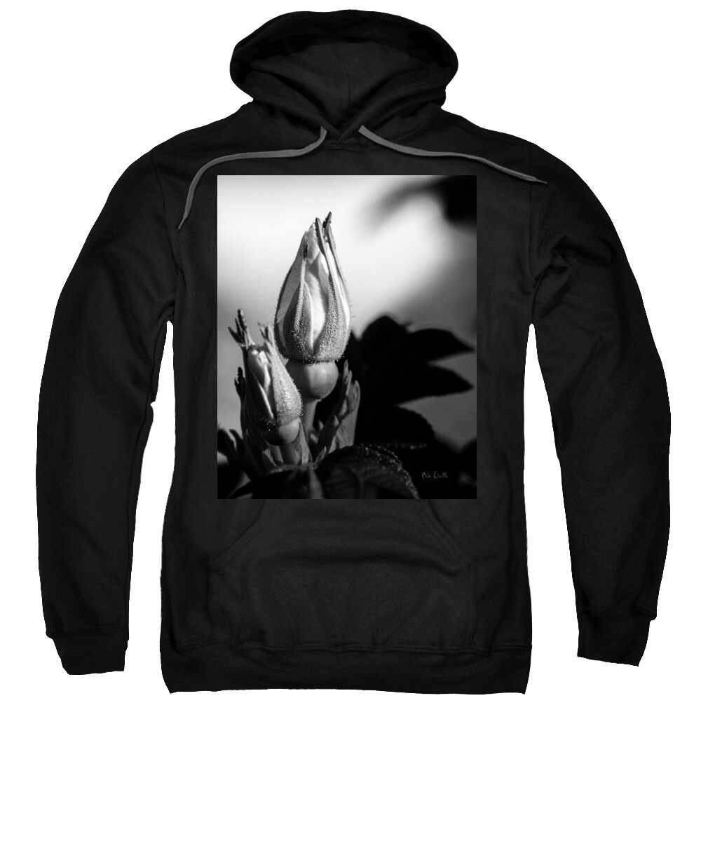 Flowers Sweatshirt featuring the photograph Rose Bud by Bob Orsillo