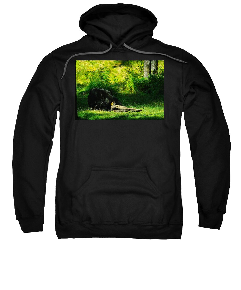 Bears Sweatshirt featuring the photograph Searching For That Last Termite by Jeff Swan