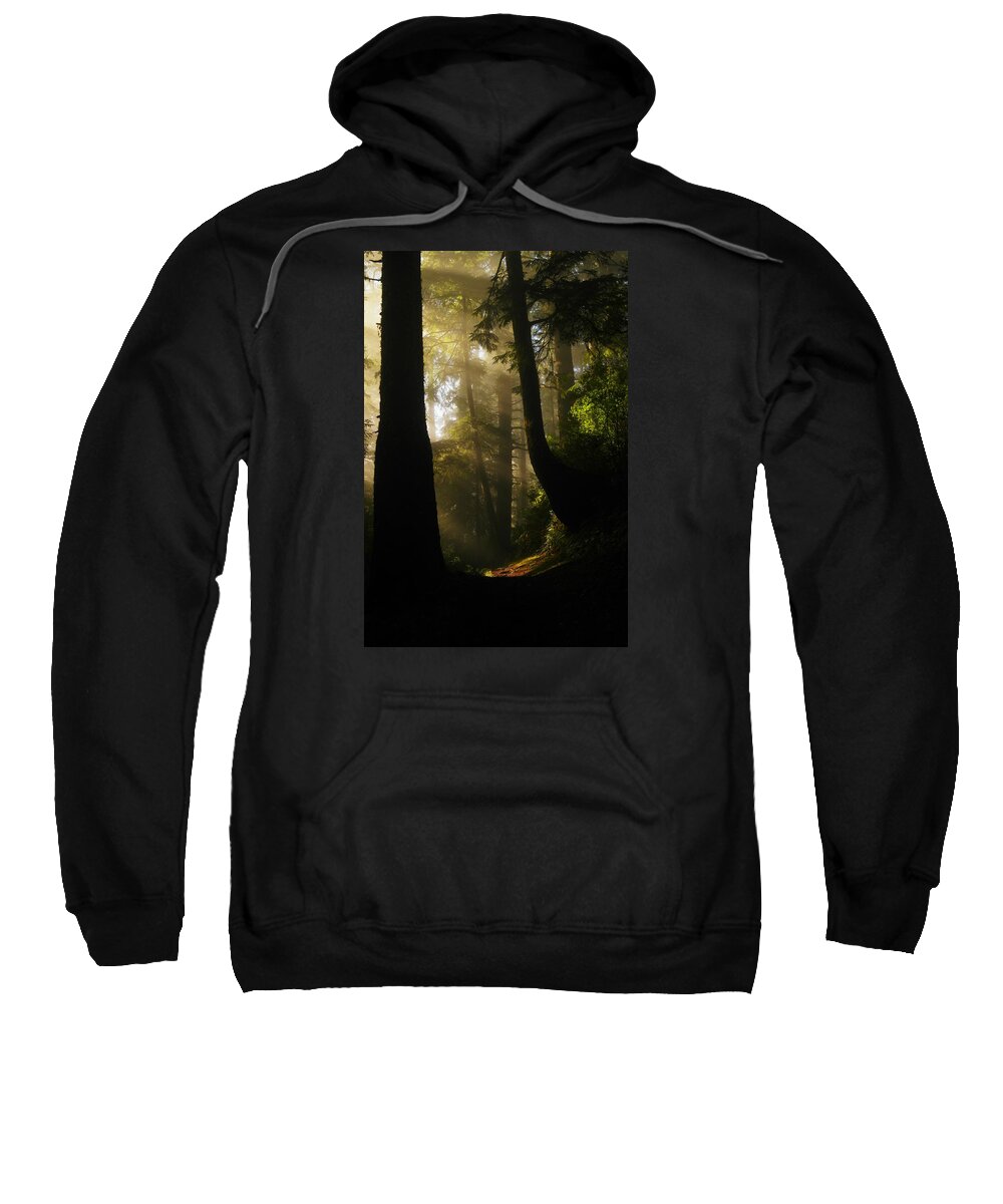 Trees Sweatshirt featuring the photograph Shadow Dreams by Jeff Swan