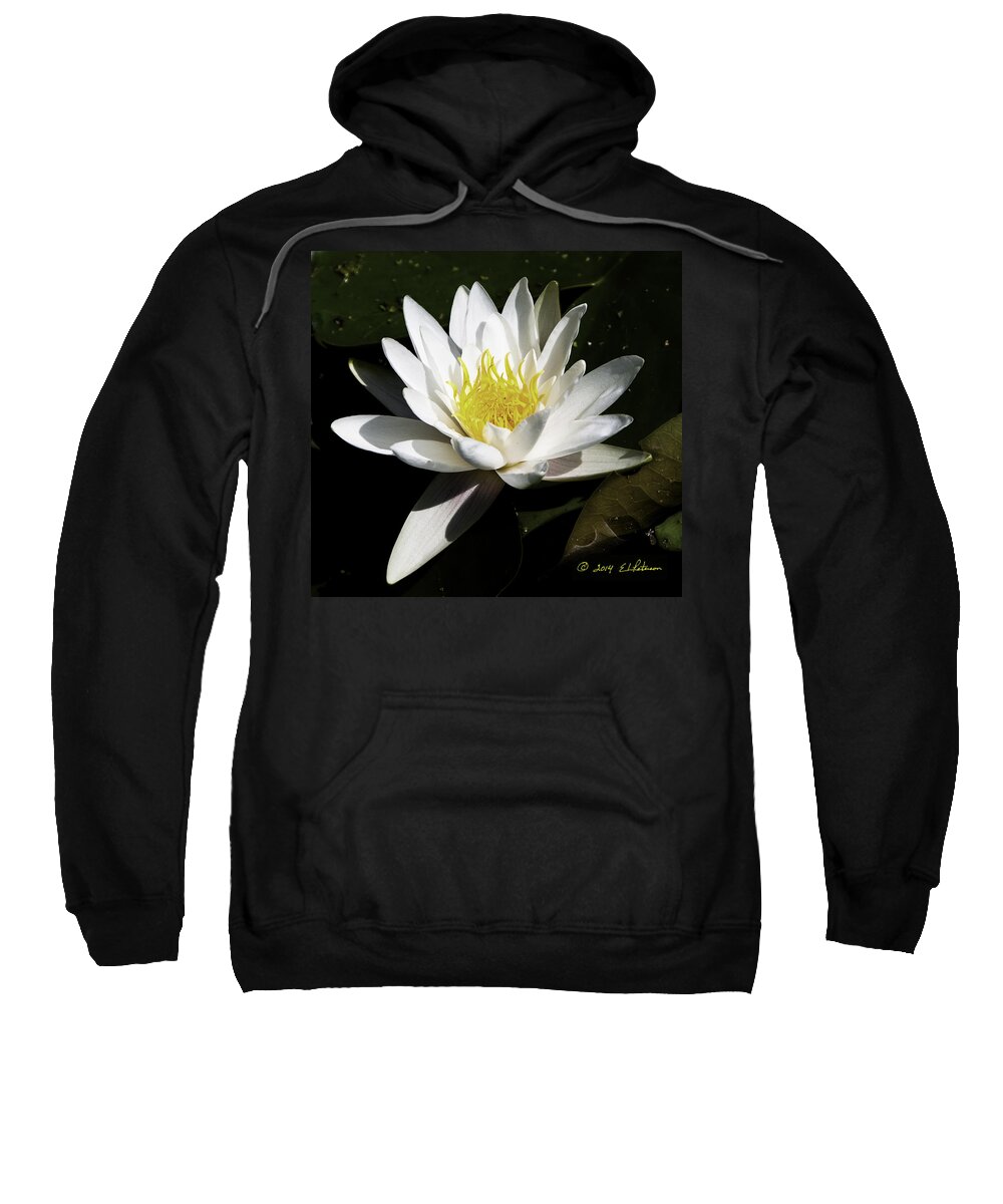 Heron Heaven Sweatshirt featuring the photograph Single Water Lily by Ed Peterson