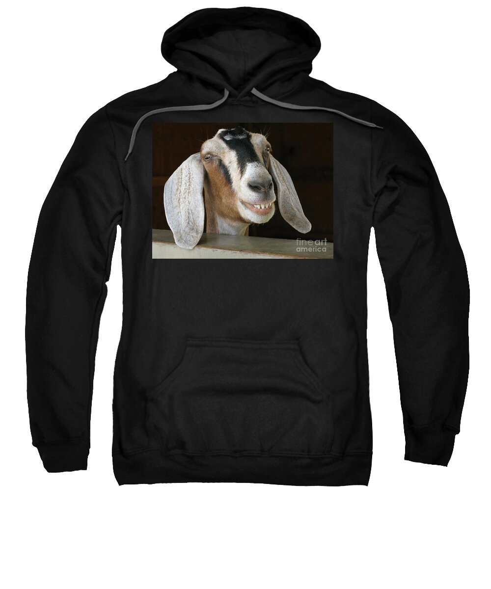 Goat Sweatshirt featuring the photograph Smile Pretty by Ann Horn
