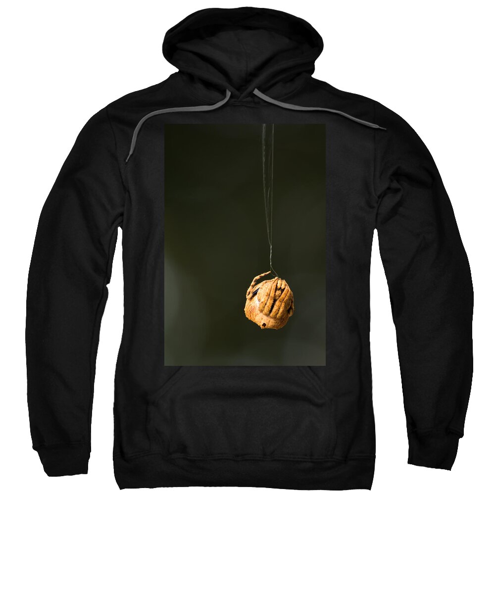 Spider Sweatshirt featuring the photograph Spin a web by SAURAVphoto Online Store