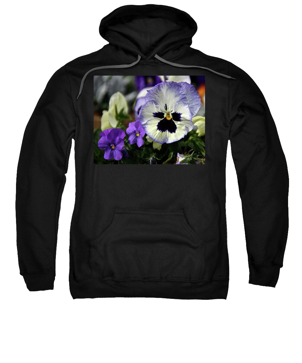Pansy Sweatshirt featuring the photograph Spring Pansy Flower by Ed Riche