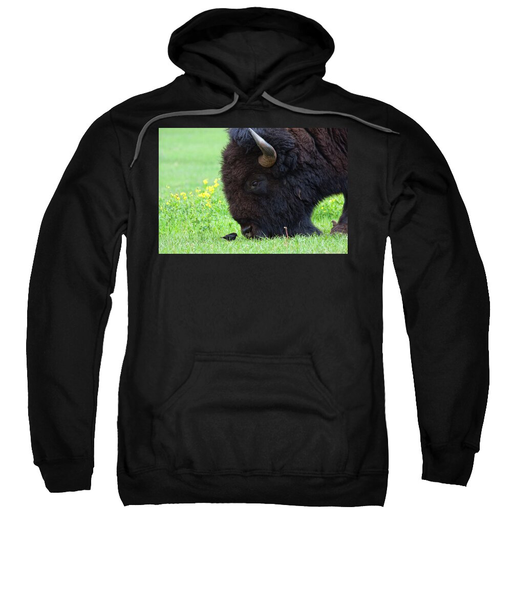Buffalo Bull Canvas Print Sweatshirt featuring the photograph Stand Your Ground by Jim Garrison