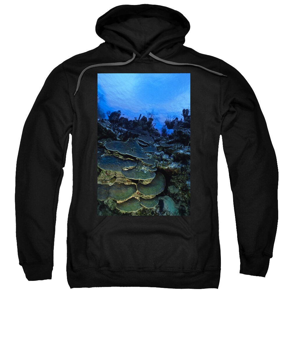 Angle Sweatshirt featuring the photograph Steps of the Sea by Sandra Edwards
