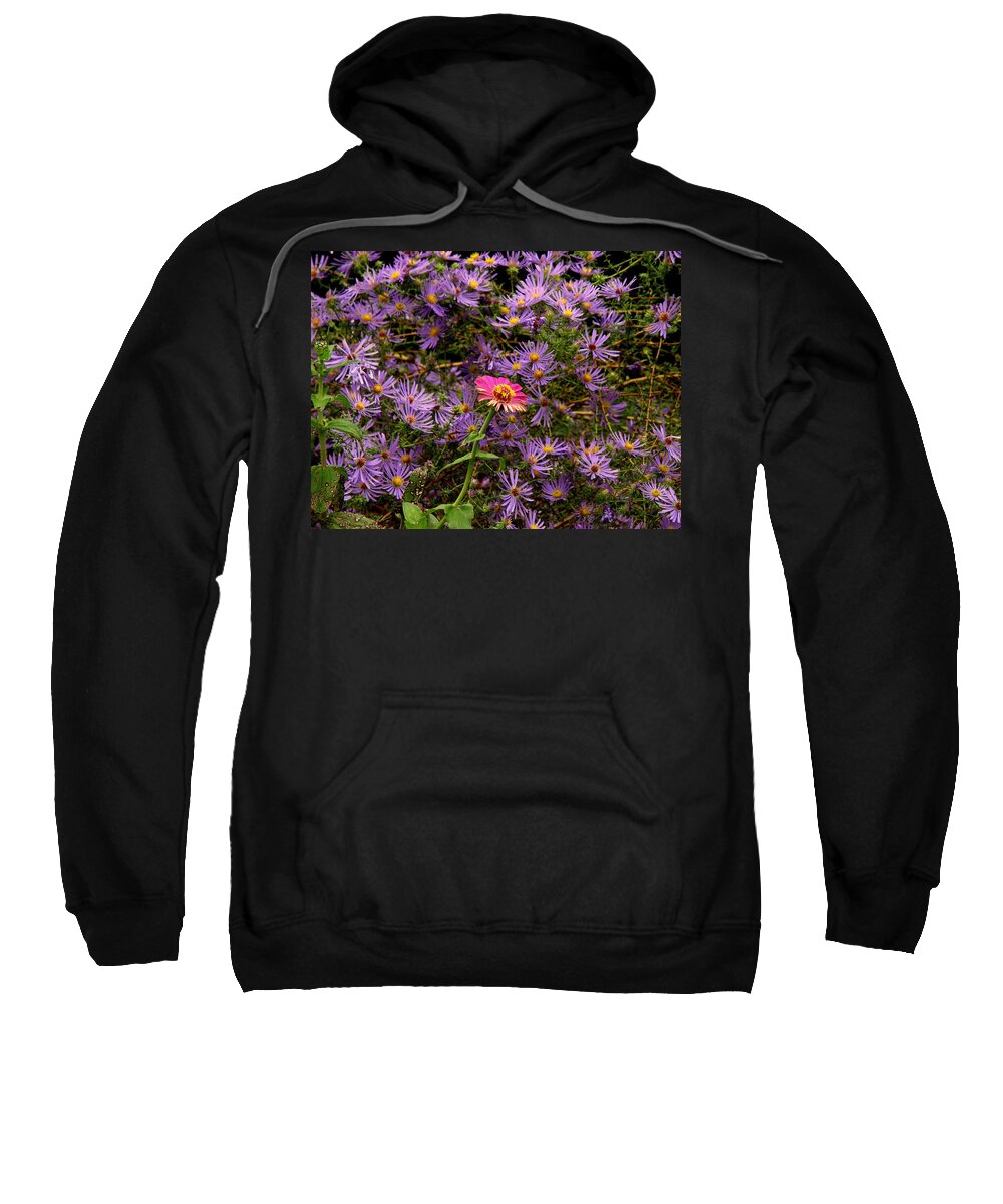 Fine Art Sweatshirt featuring the photograph Stranger in a Strange Land by Rodney Lee Williams