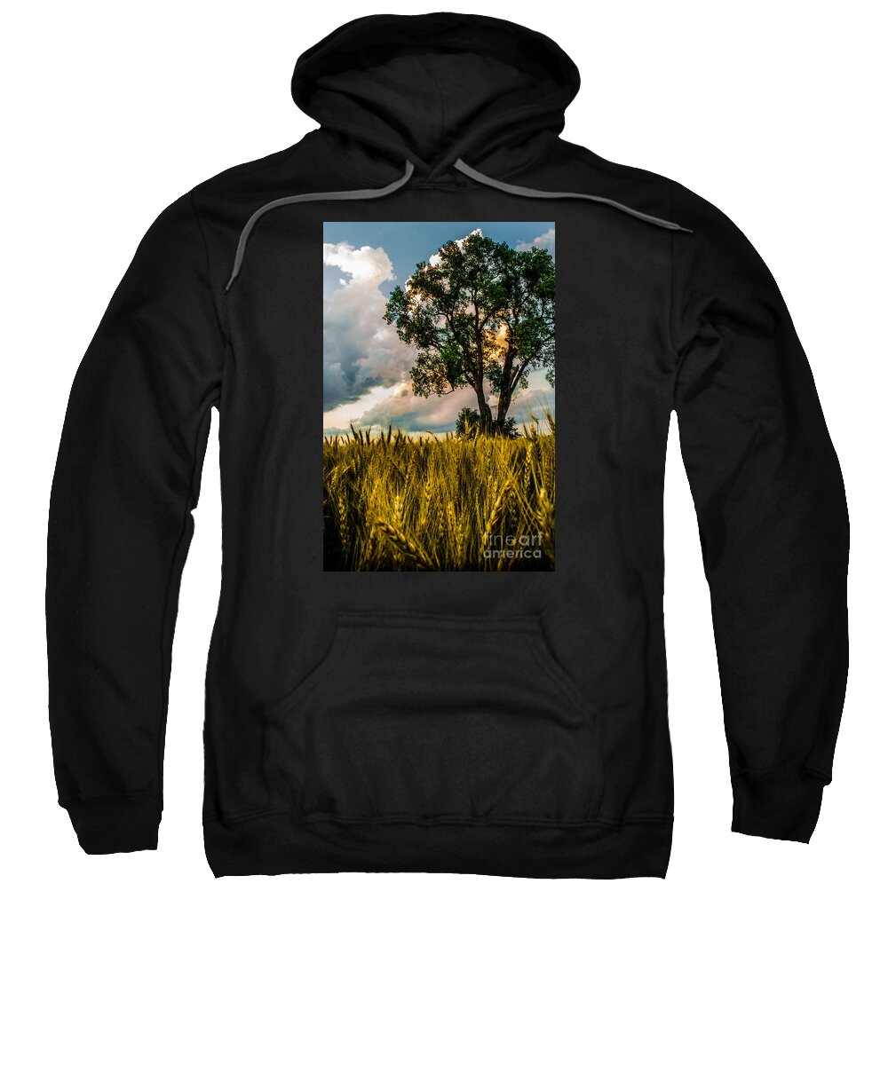 Archbold Sweatshirt featuring the photograph Summer Evening After A Rain by Michael Arend