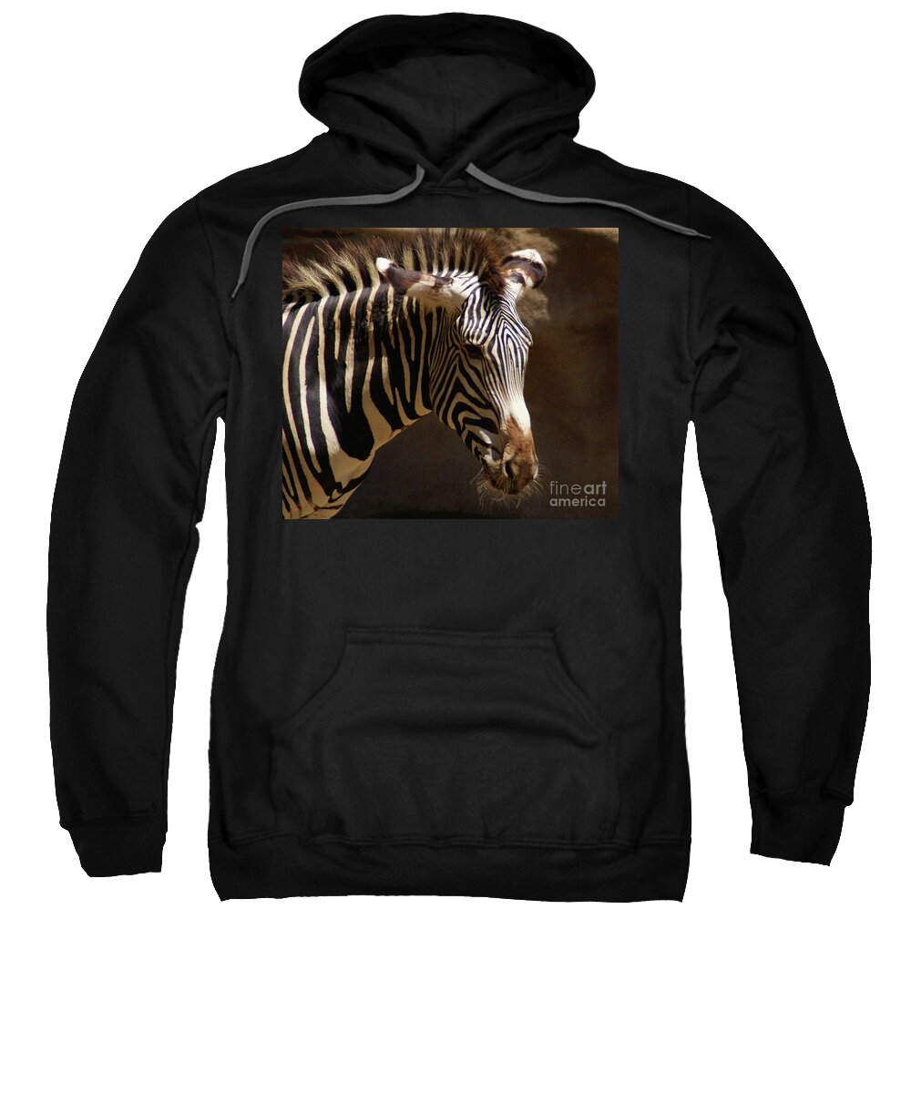 Zebra Sweatshirt featuring the photograph Sunlit Stripes by Linda Shafer