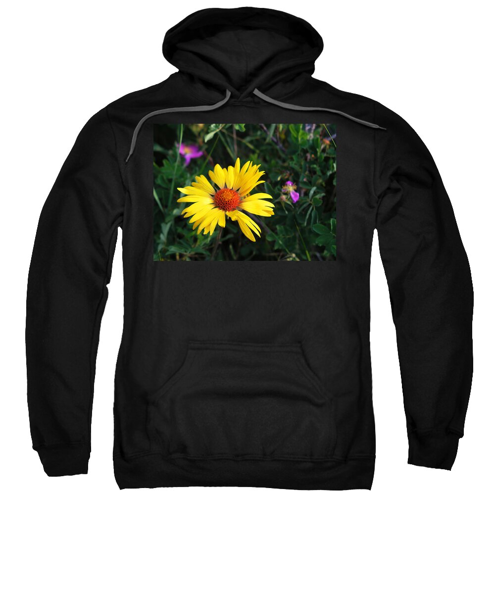 Flowers Sweatshirt featuring the photograph Sunshine by Craig Burgwardt