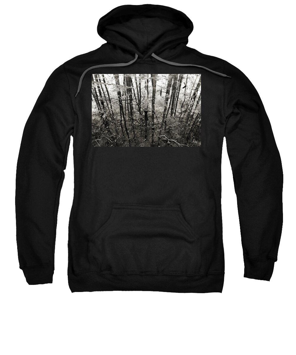 Swamp Sweatshirt featuring the photograph Swamp Reflections - sepia by Scott Pellegrin