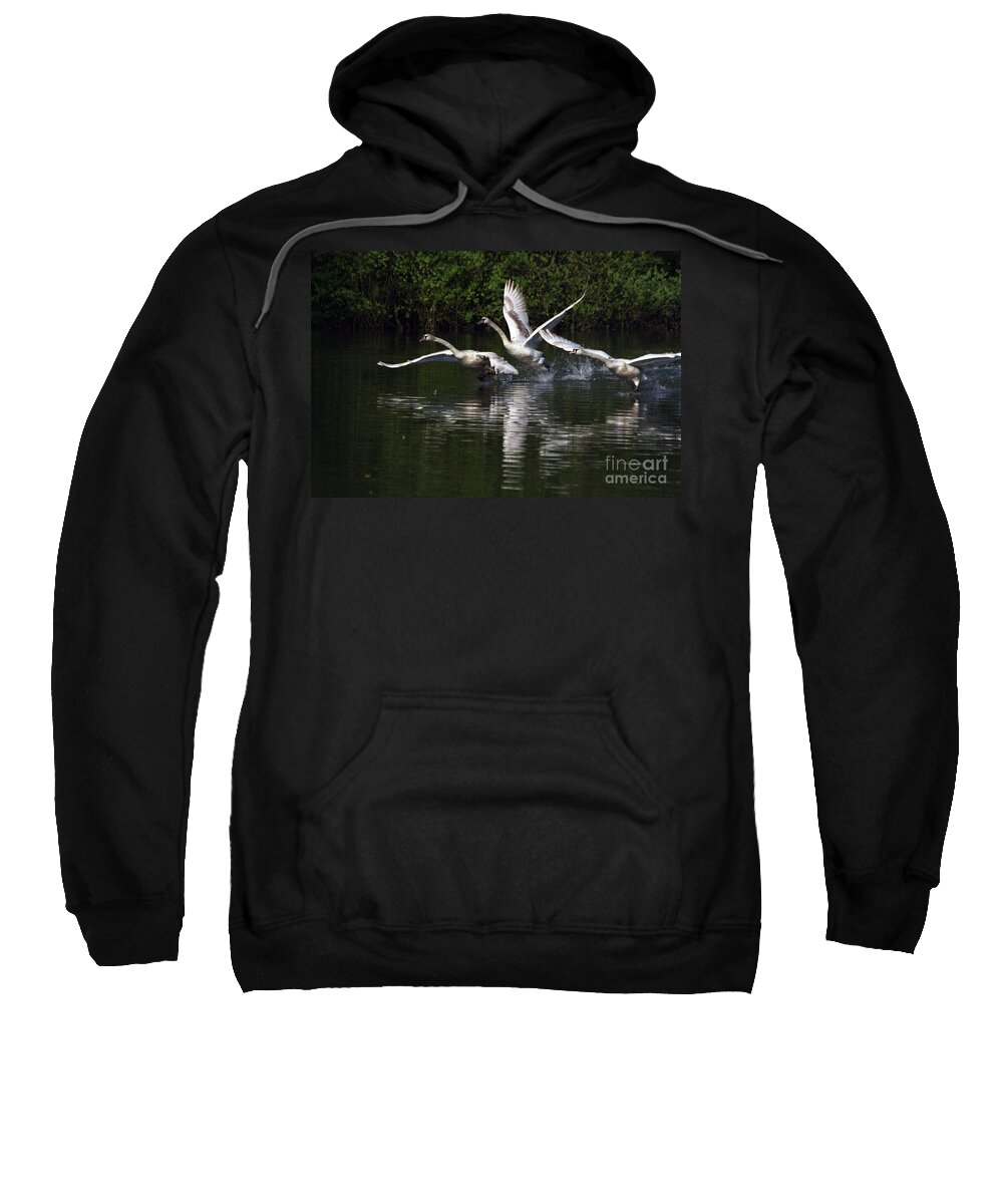 Swan Sweatshirt featuring the photograph Swan Take-Off by Jeremy Hayden